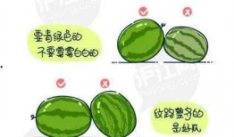 娱乐吃瓜素材怎么找到的,揭秘娱乐吃瓜素材的搜集之道