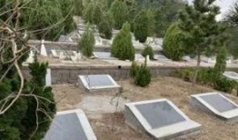 墓地新闻爆料,揭秘背后惊人真相